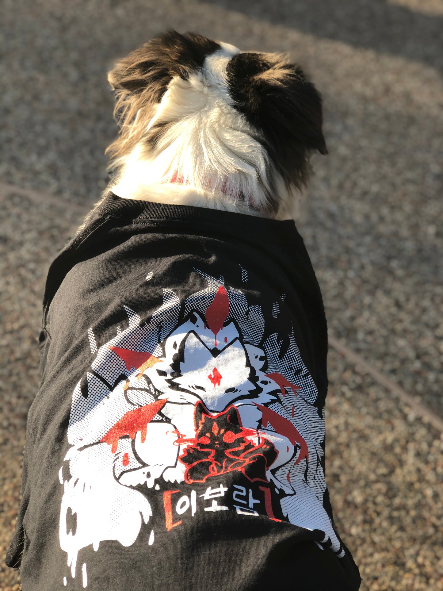 Shirt - Fox Guardian 1 (black shirt)