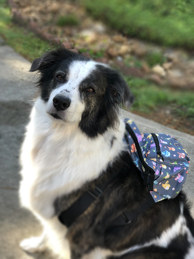 Mini Backpack - Eeveelution