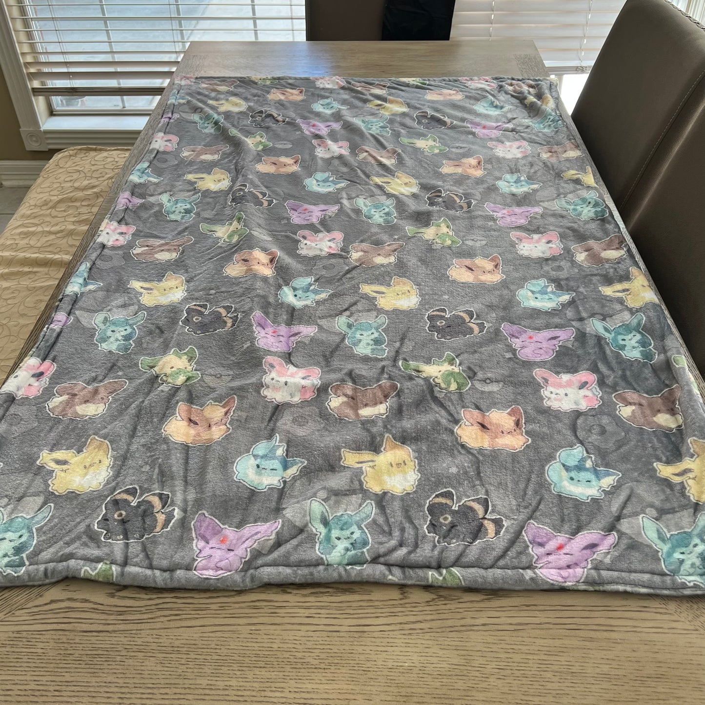 Cute Fleece Blanket - Eeveelution - 40in x 60in