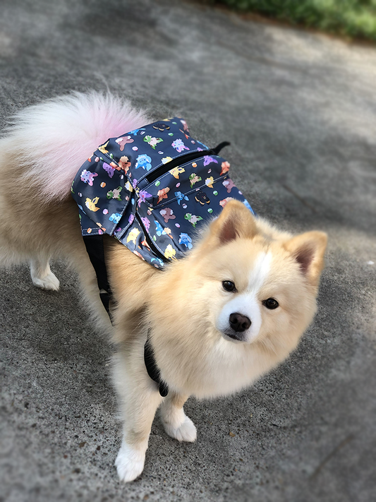 Mini Backpack - Eeveelution